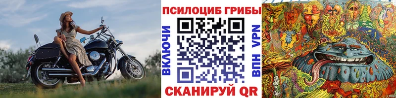 Галлюциногенные грибы Psilocybe  как найти закладки  Баймак 